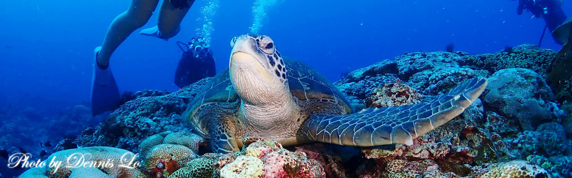《海龜之島》小琉球深呼吸三日潛水之旅